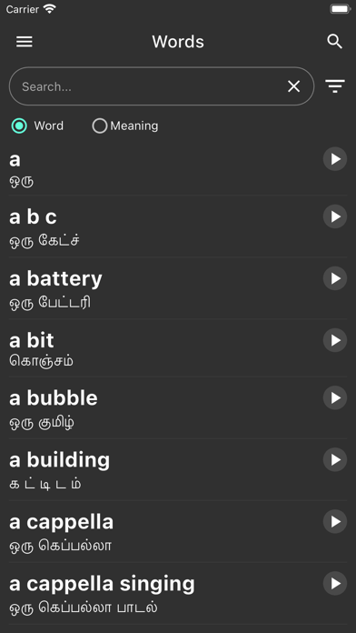 Tamil Dictionary Screenshot