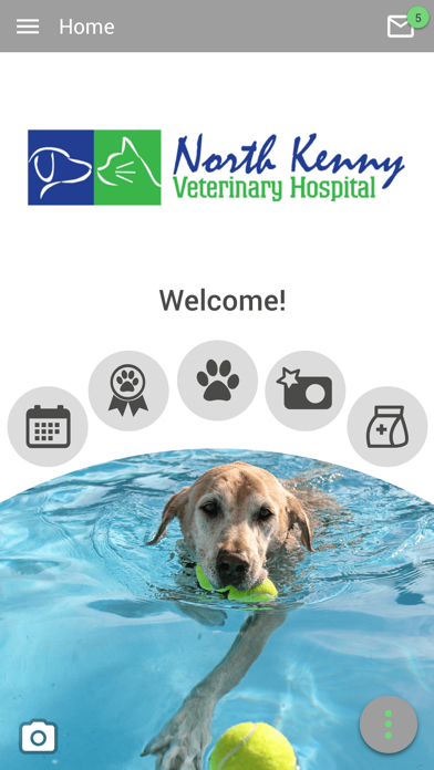 North Kenny Vet Hospital Screenshot