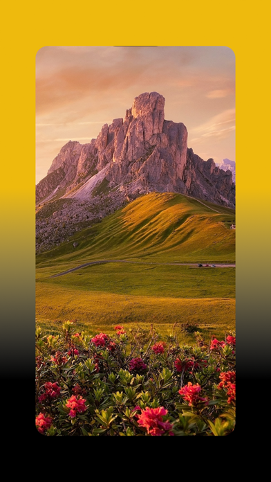 4k,Hd Wallpapers Wallpezia Screenshot