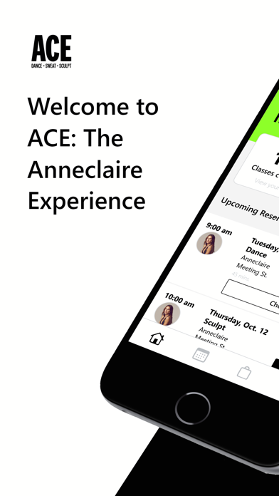 ACE: The Anneclaire Experience Screenshot