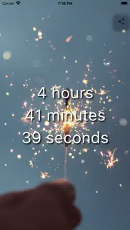 new year countdown (2025) iphone screenshot 2