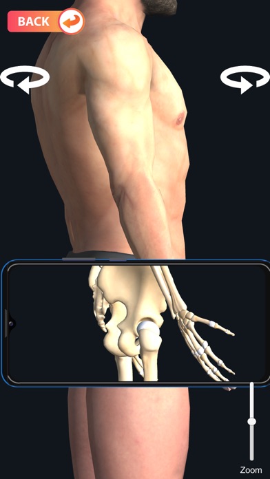 X-ray Body Scanner Game Screenshot