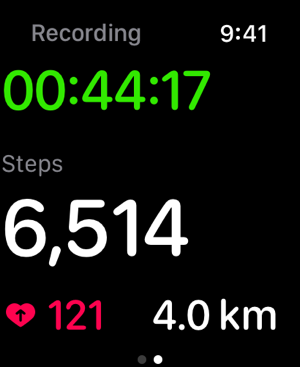 ‎StepsApp Pedometer Screenshot