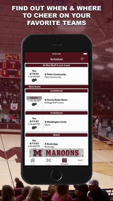 Moline HS Athletics Screenshot