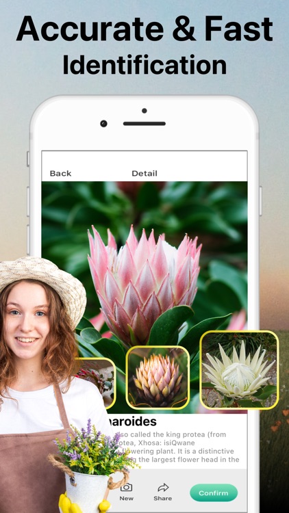 AI Plant Identifier Care Tips screenshot-4