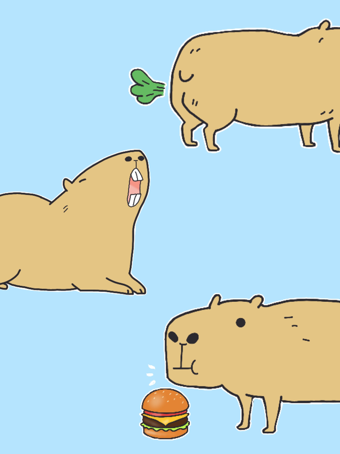 Cute Capybara Expressions