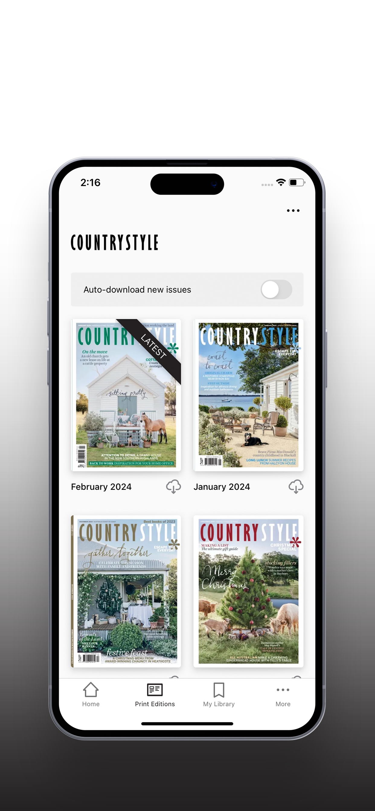 Country Style screenshot 4
