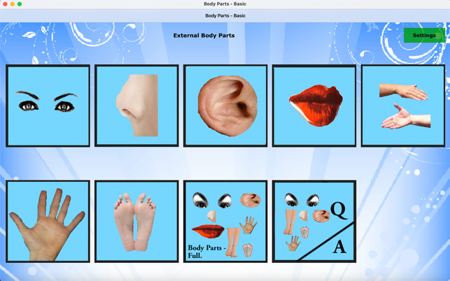 ‎Body Parts - Basic Screenshot