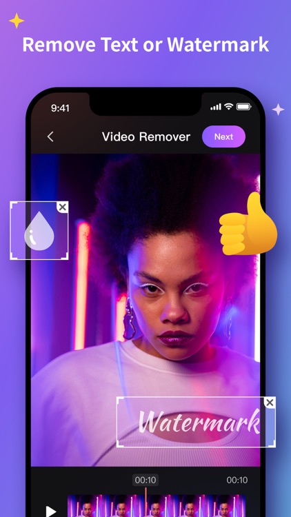 AniEraser - Object Removal
