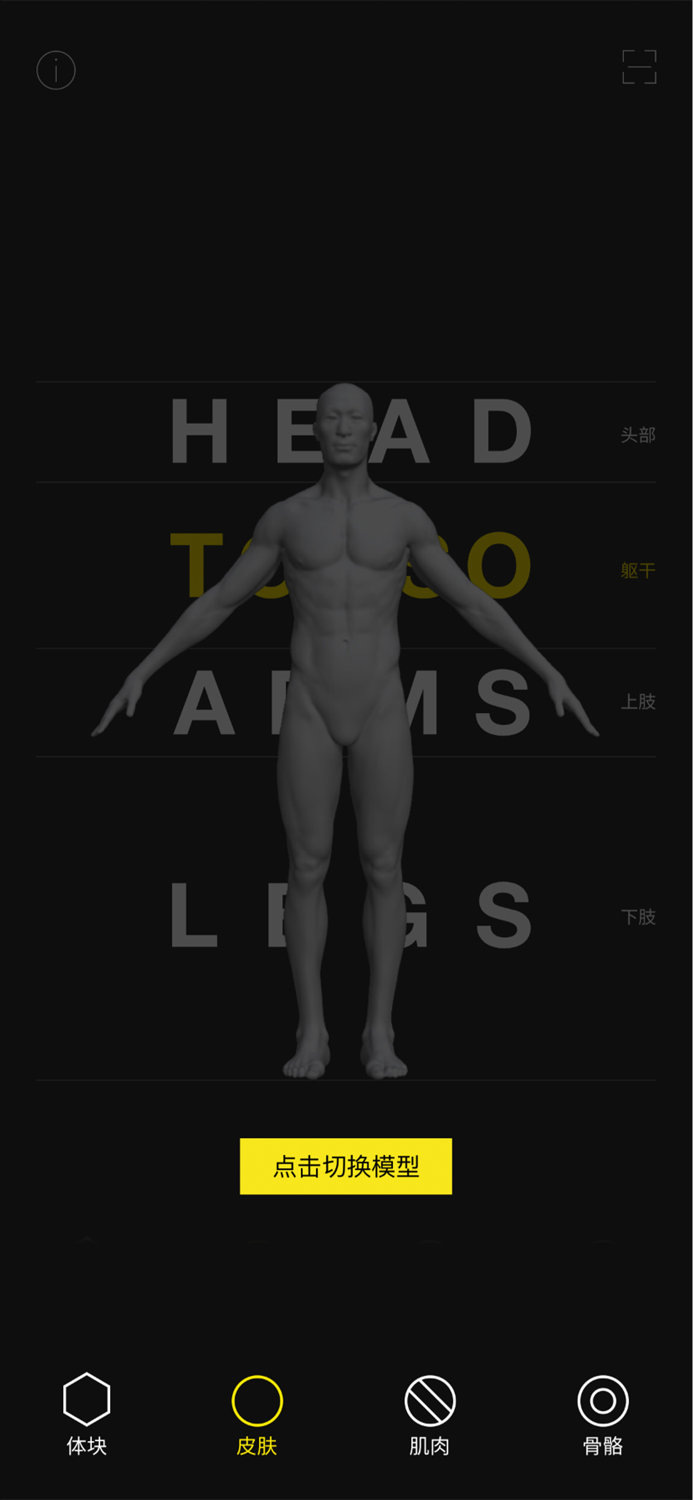 艺用人体解剖教程