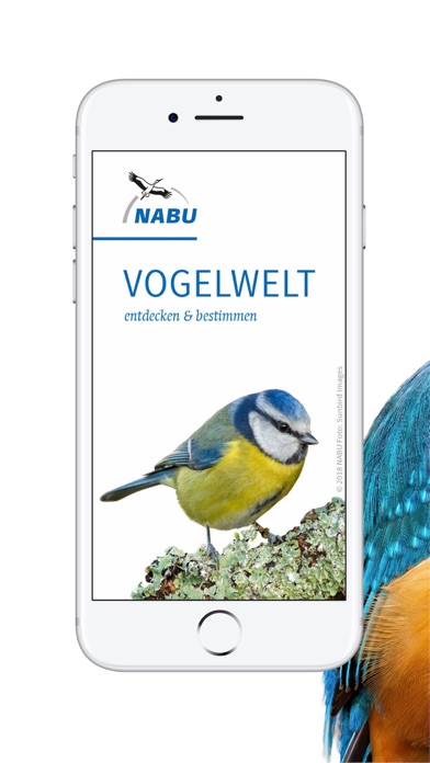 Screenshot #1 pour NABU Vogelwelt
