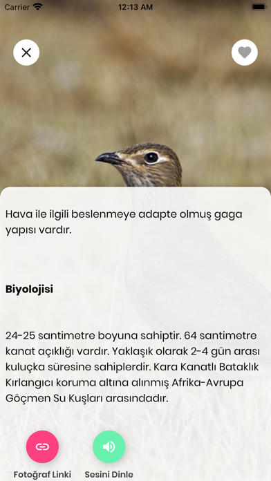 Kızılırmak Kuşları Screenshot