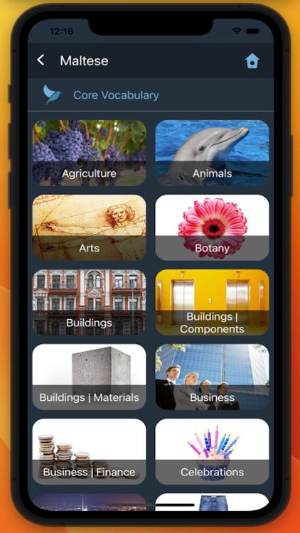 Bluebird: Learn Maltese screenshot-4