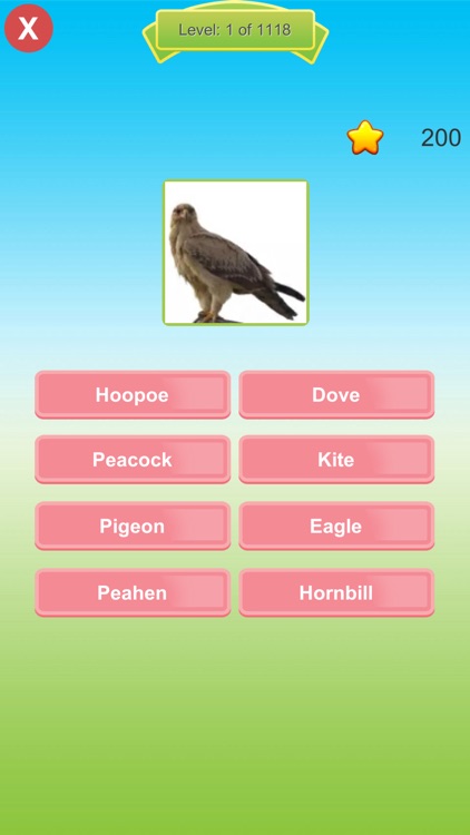 Perfect Picture Book screenshot-7