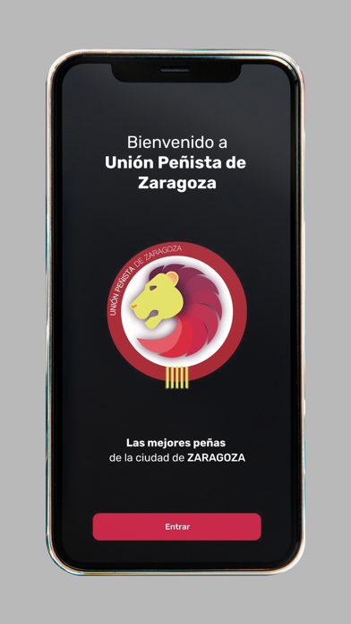 Unión Peñista de Zaragoza Screenshot