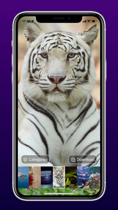 LuxWall Live Wallpapers Screenshot