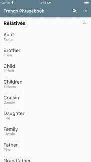 french basic phrases iphone screenshot 4