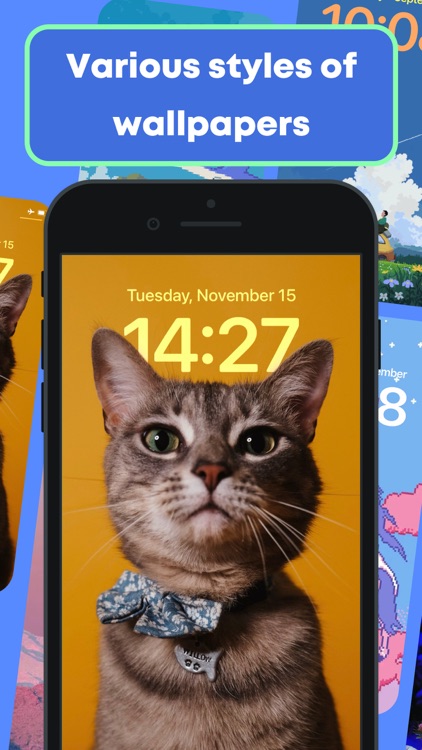 Island Pet & Island Wallpapers
