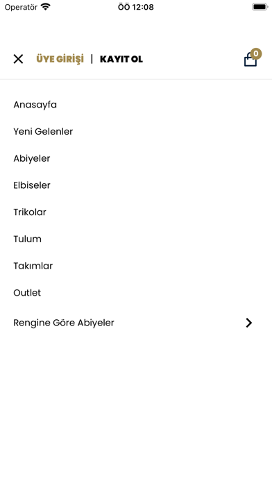 Aysa Tekin Showroom Screenshot