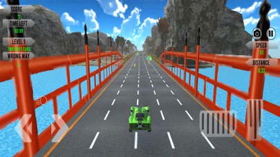 Traffic Racer Champion Game Screenshot