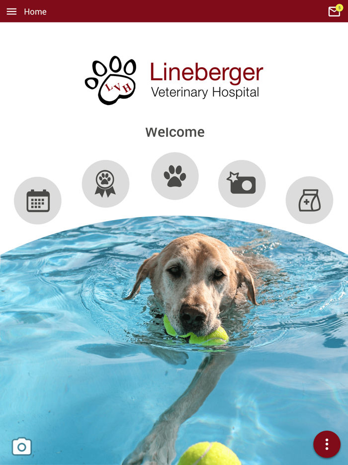 Lineberger Veterinary Hospital