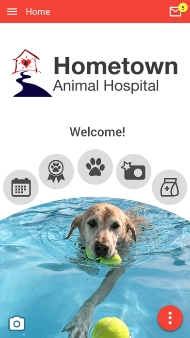 Hometown Animal Hospital Screenshot