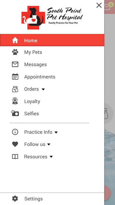 South Point Pet Hospital Screenshot