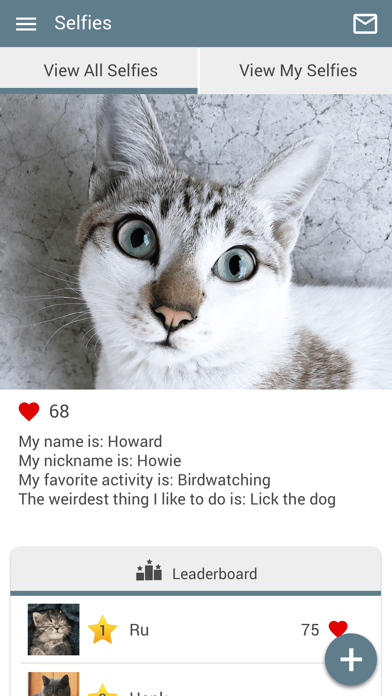 CatClinicFlsm Screenshot