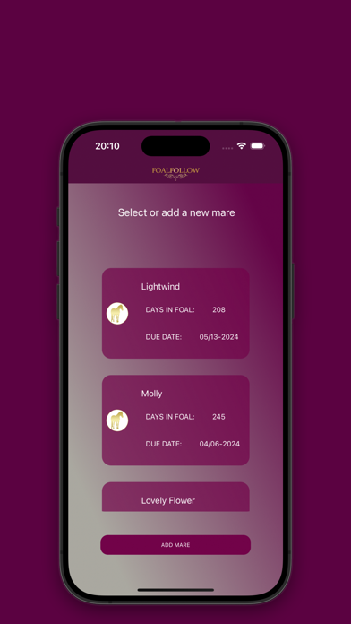 FoalFollow English Screenshot