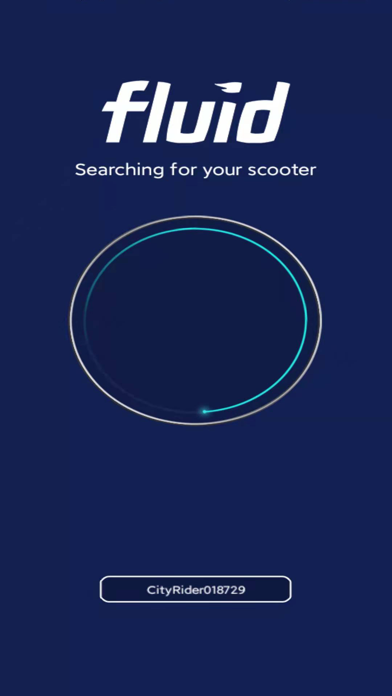 CityRider Scooter Screenshot