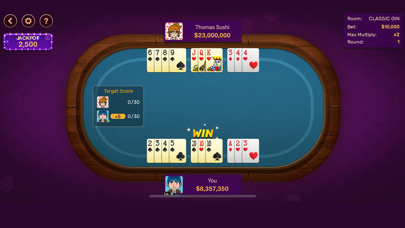 Gin Rummy: Offline Game Screenshot