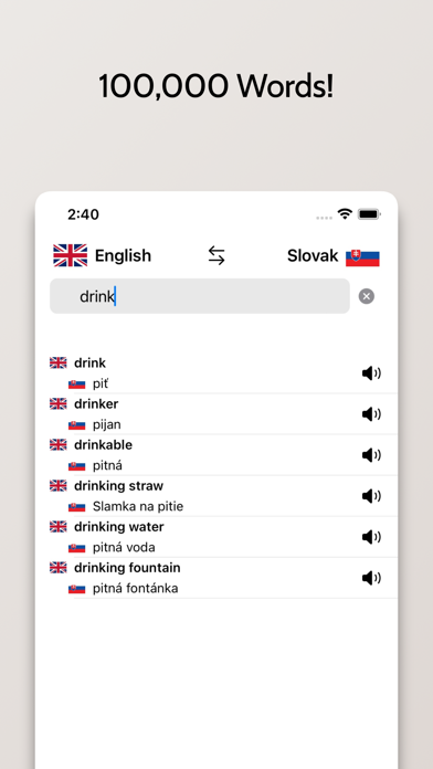 Slovak-English Dictionary Screenshot
