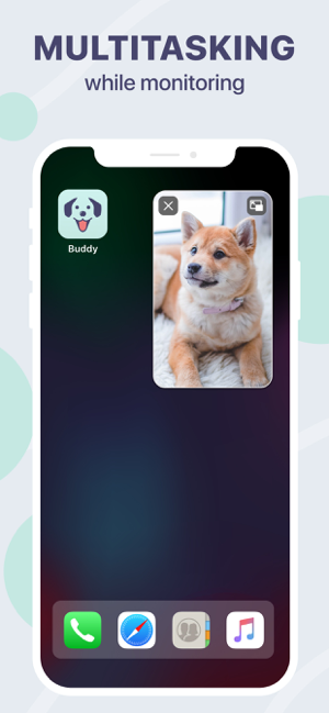 ‎Buddy : Moniteur de chien Capture d'écran