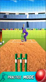 play live cricket game iphone screenshot 1
