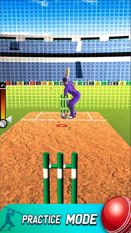 Play Live Cricket Game