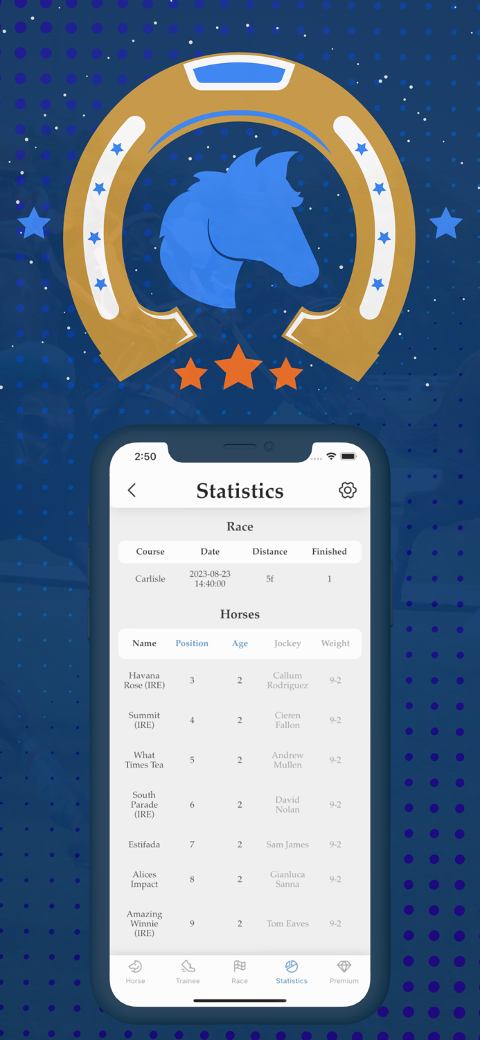 Horse racing - riding and win