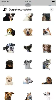dog photo sticker iphone screenshot 1