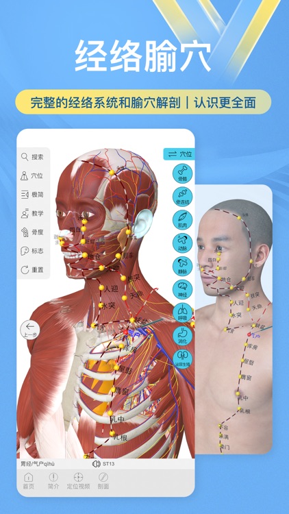 维萨里3D解剖-学生学习老师教学医生资源人体医学图谱大全 screenshot-4