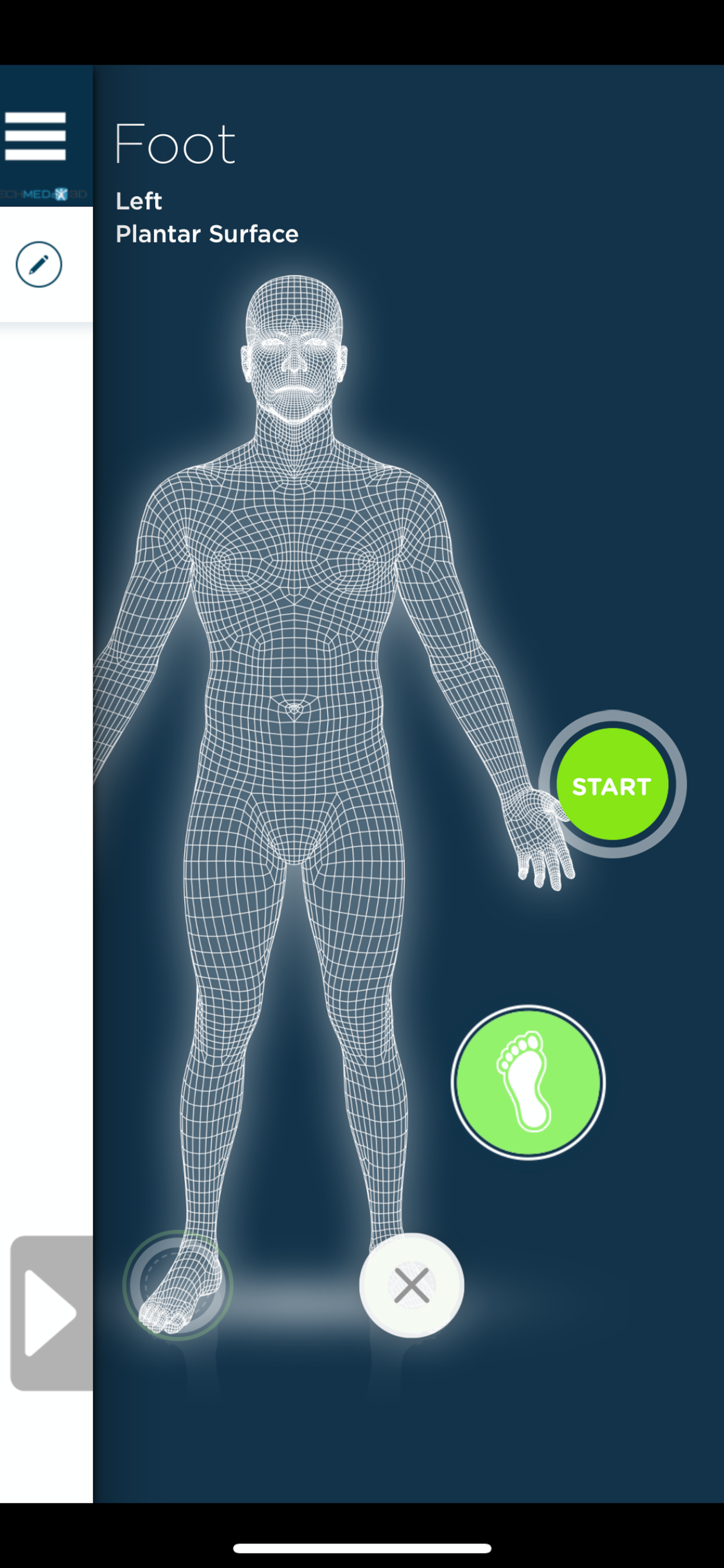 Pegasus3DFootScan
