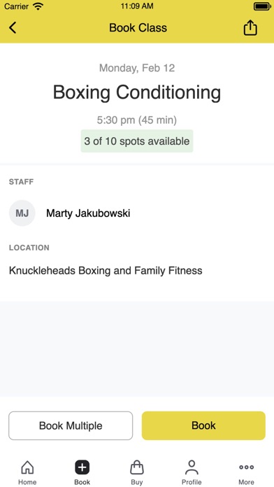 Knuckleheads Boxing Screenshot