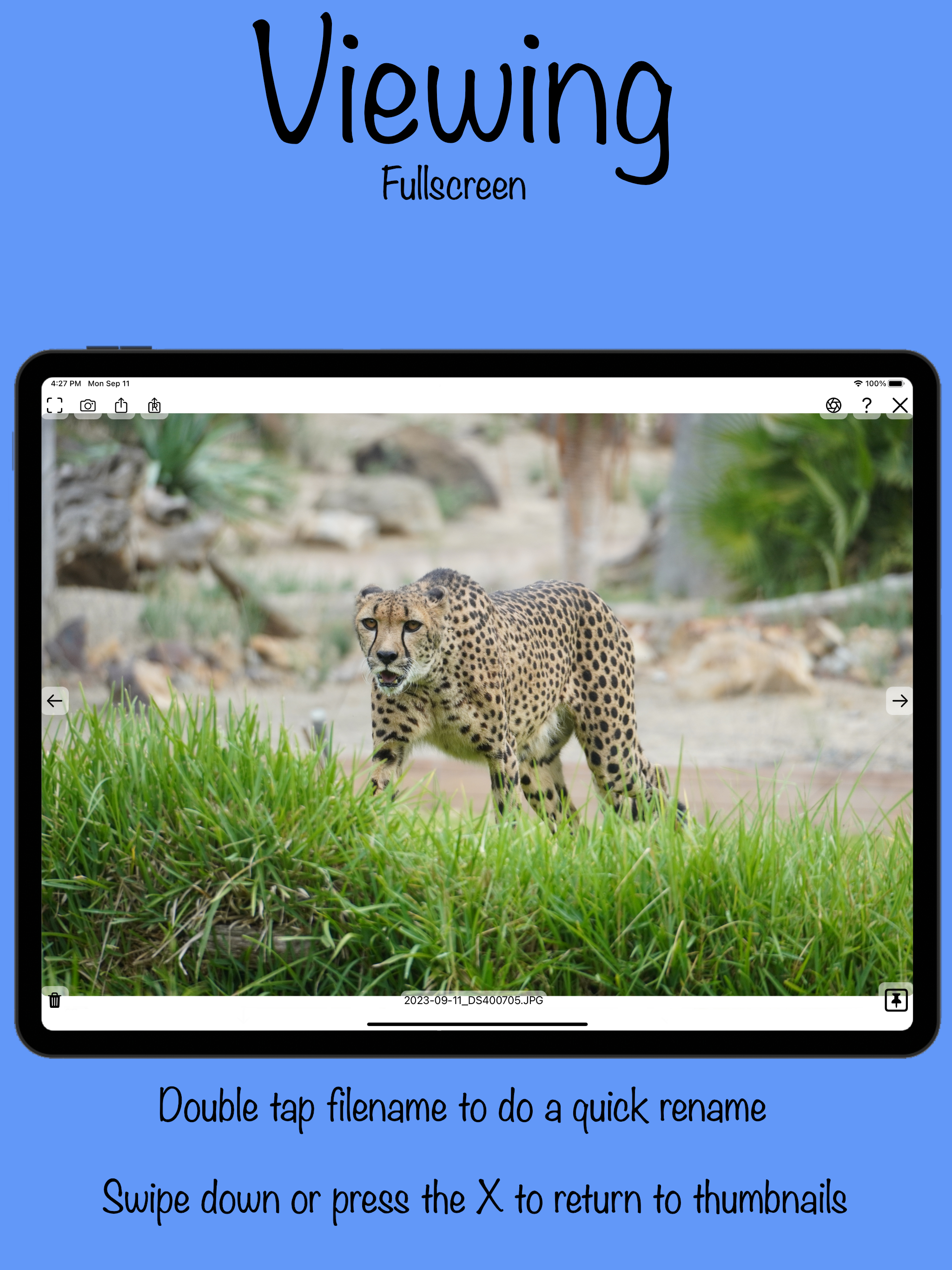 Photo Workflow screenshot 8