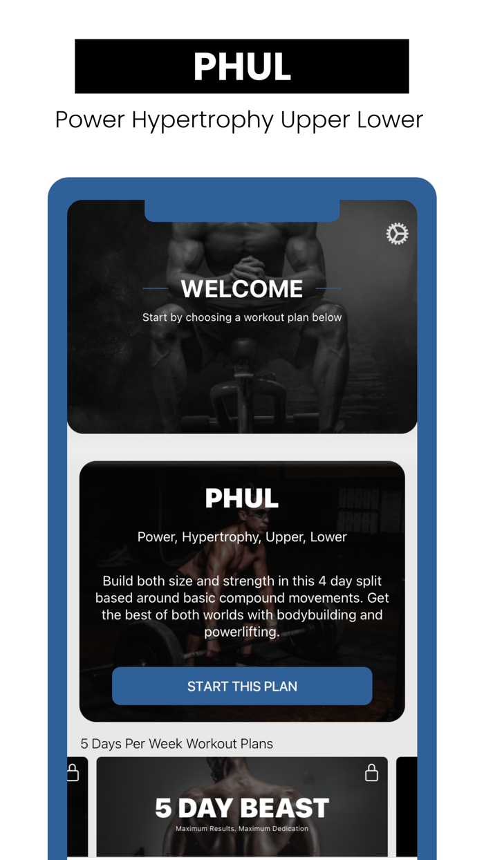 PHUL - Split workout routine