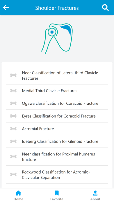 Orthopedic Classification Screenshot