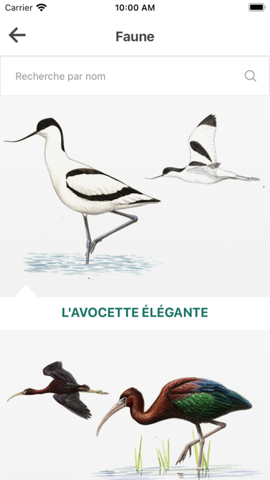 Mes Marais du Vigueirat Screenshot