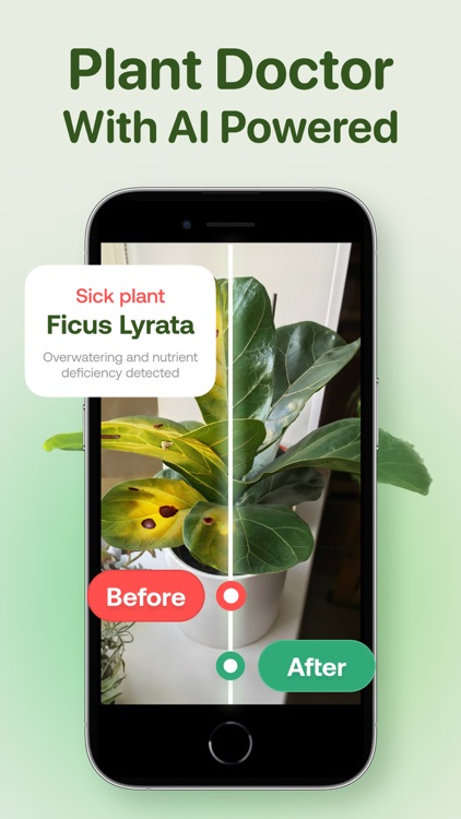 AI Plant Identifier - Plant ID