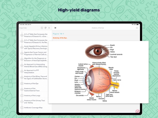 Screenshot #6 pour Huppert's Notes: Internal Med