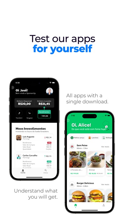 Your CTO - Dillenburg Software