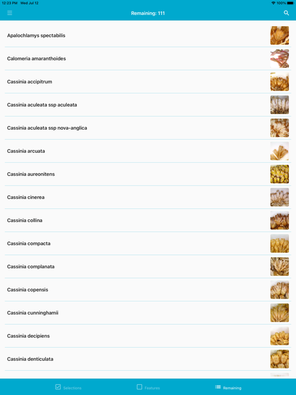 Screenshot #6 pour Key to the Cassinia group
