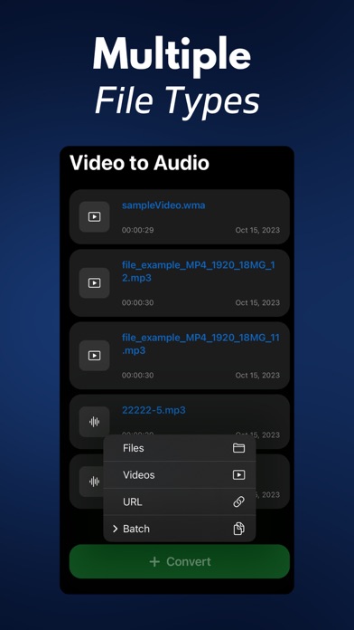 Video to Audio: MP3 Converter+ Screenshot