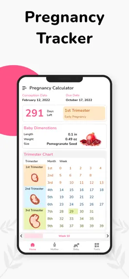 Game screenshot Pregnancy Tracker Week by Week mod apk